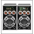 Karaoke doble de 10 pulgadas con altavoz activo Bluetooth FM FM